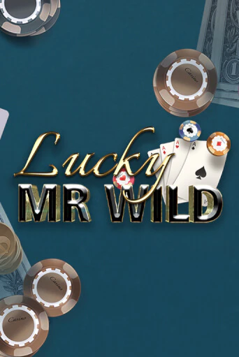 Демо игра Lucky Mr. Wild играть онлайн | VAVADA Casino бесплатно